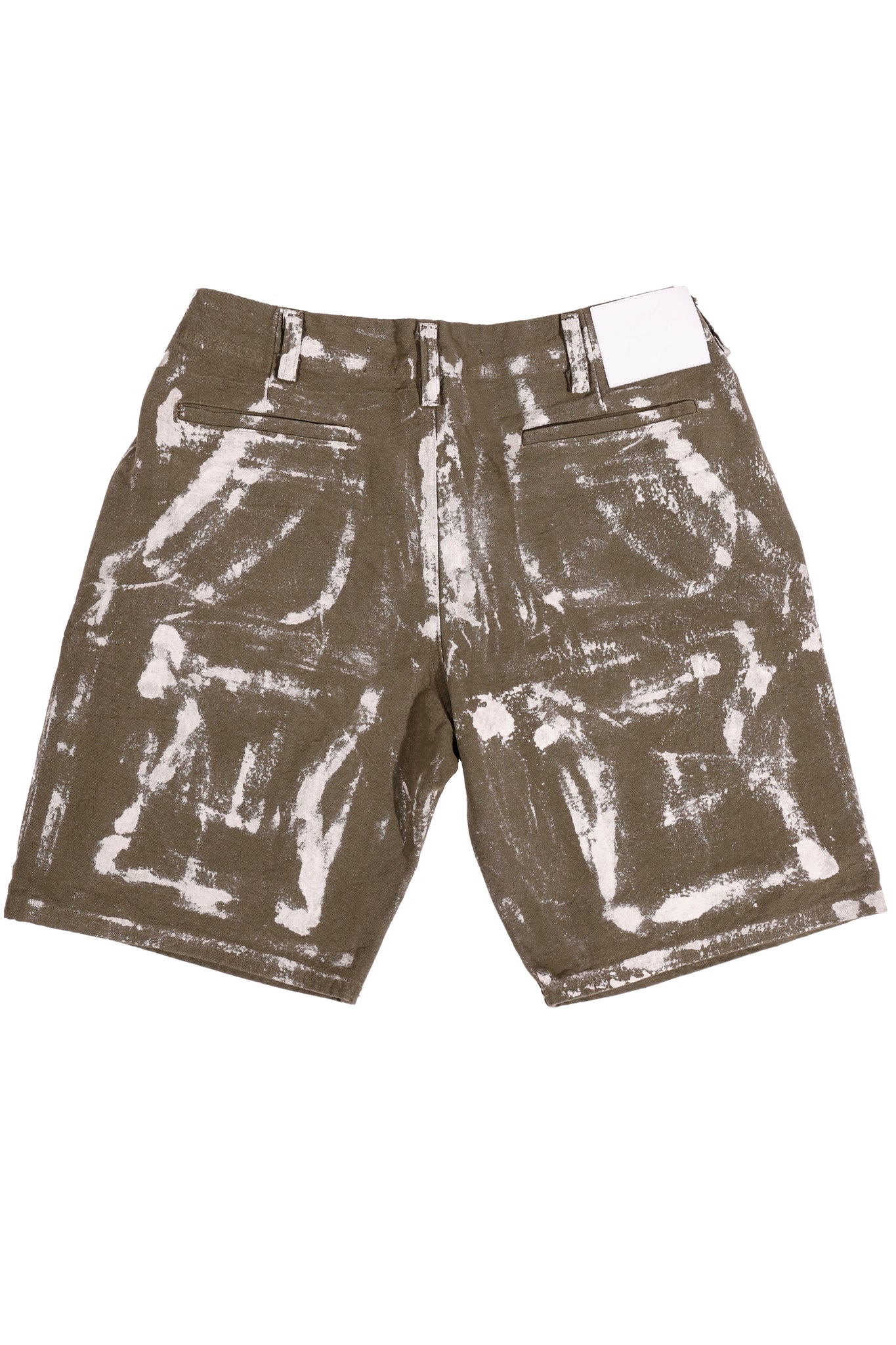 Cargo Painter Shorts Green